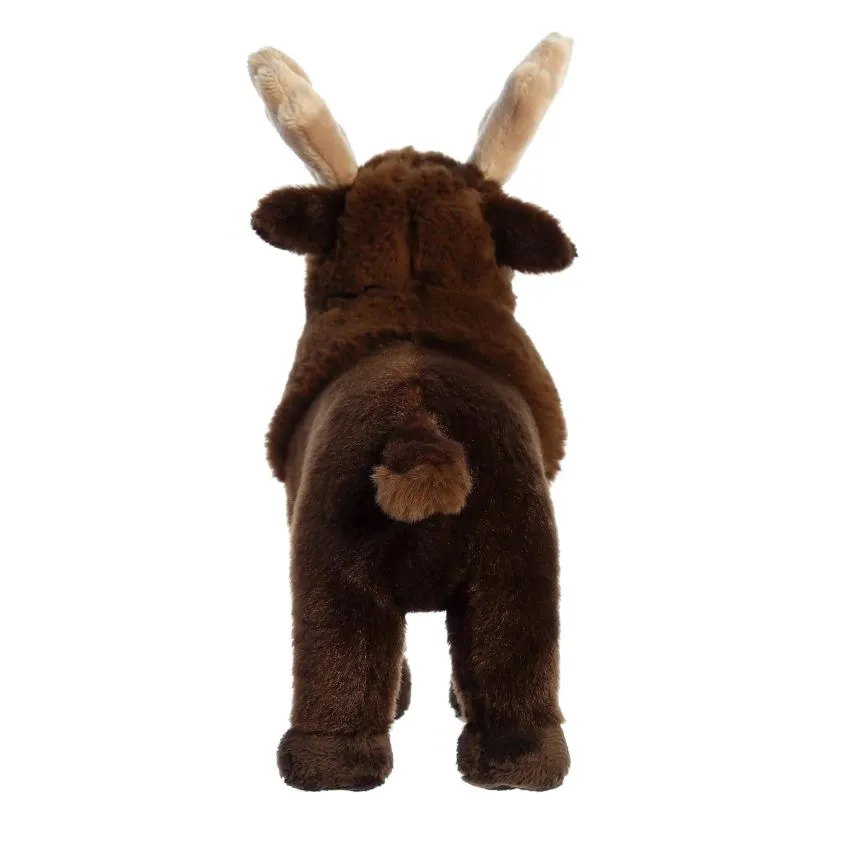 AURORA ECO NATION MOOSE
