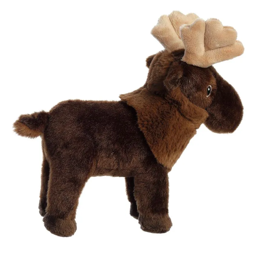 AURORA ECO NATION MOOSE
