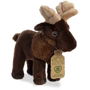 AURORA ECO NATION MOOSE