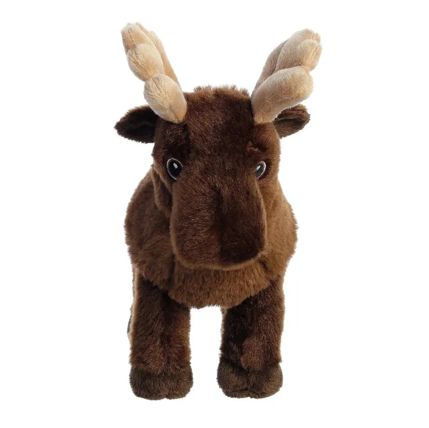 AURORA ECO NATION MOOSE