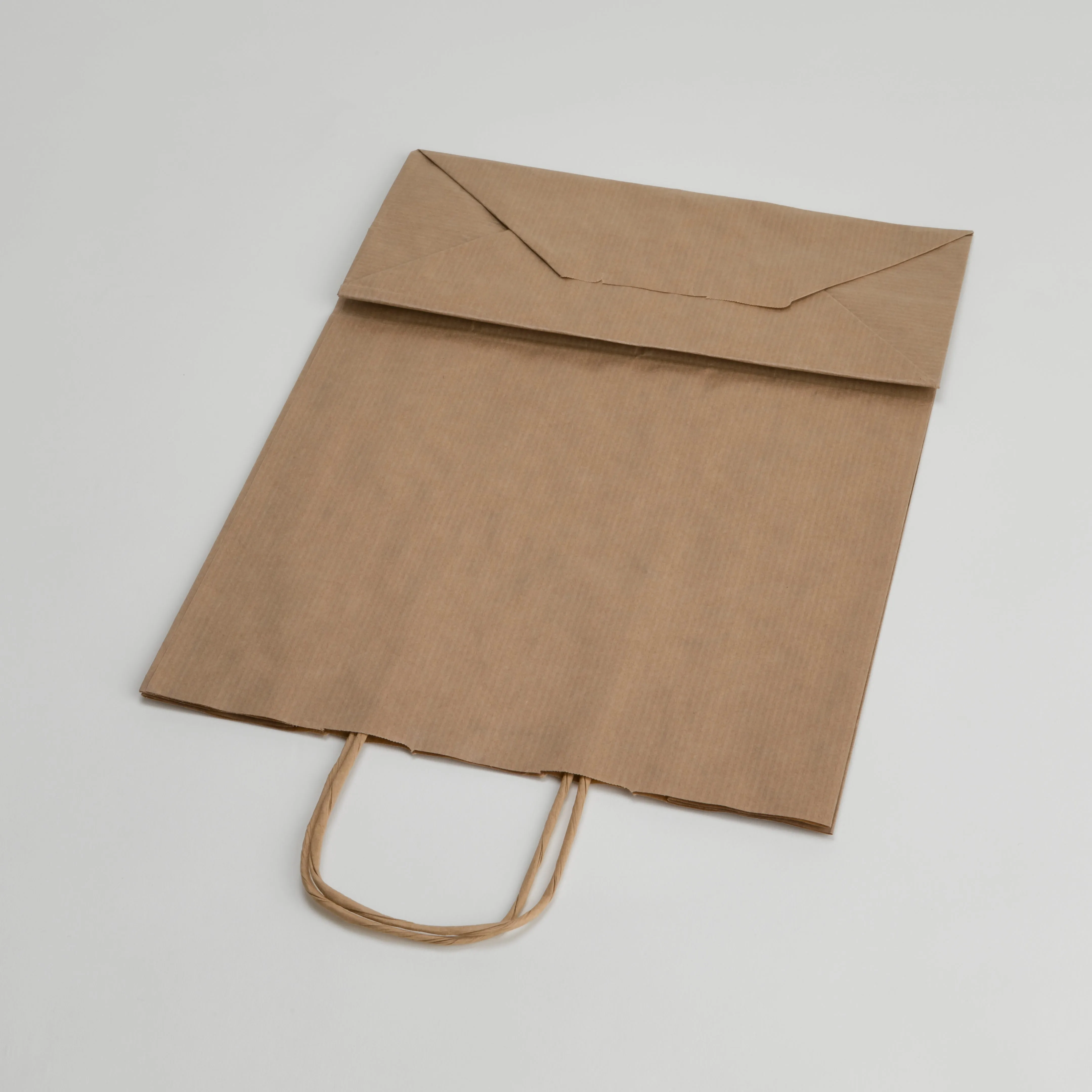 Kraft Takeaway Carrier Bag with Twisted Handles x200