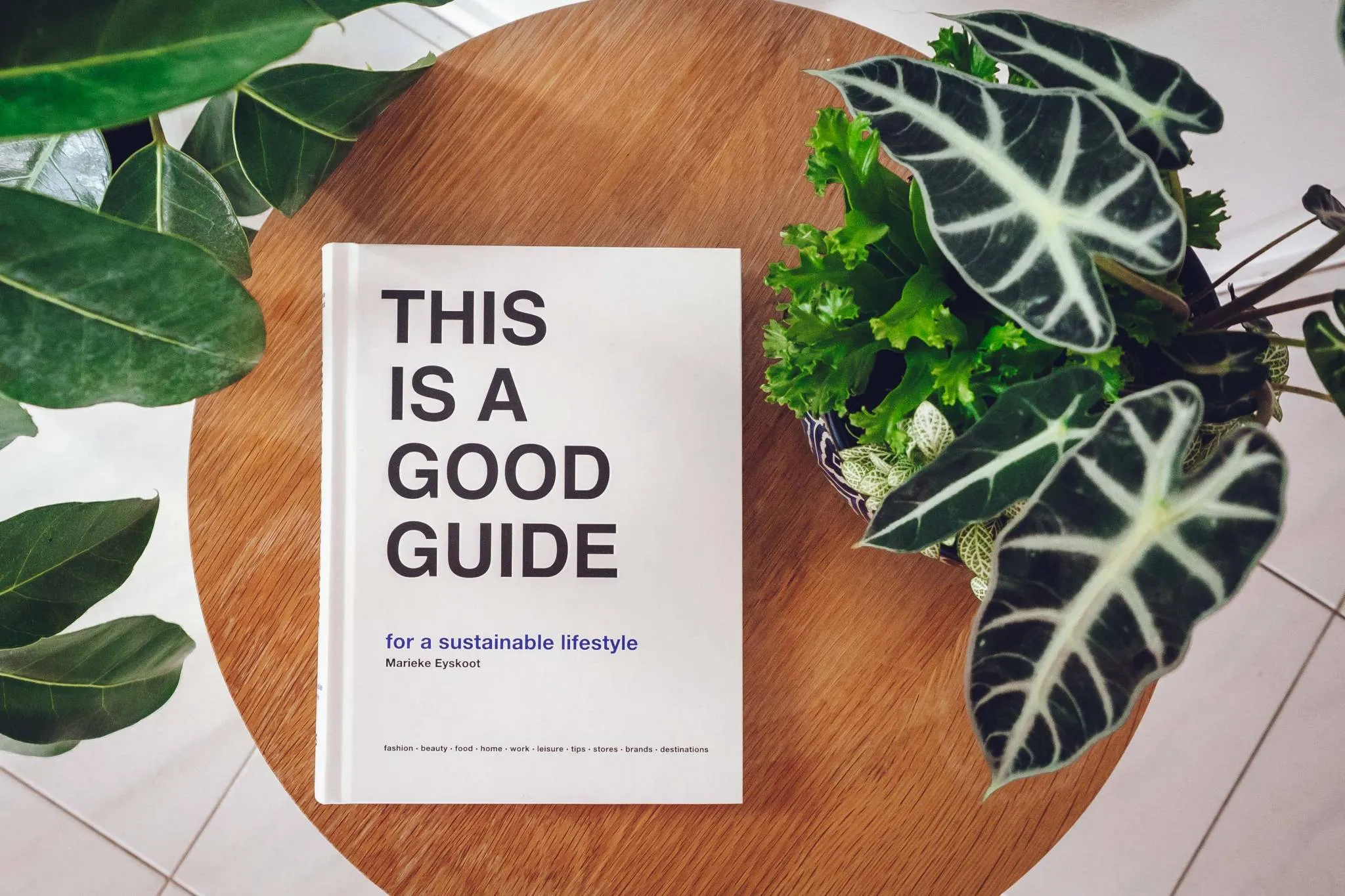 This is a Good Guide for a Sustainable Lifestyle